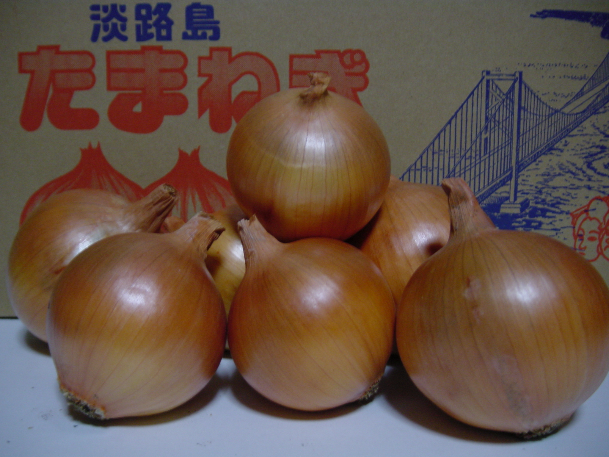 サンプルイメージ