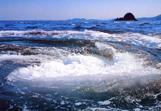 サンプルイメージ